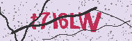 Güvenlik Kodu