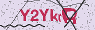 Güvenlik Kodu