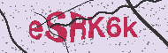 Güvenlik Kodu