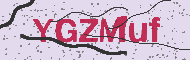 Güvenlik Kodu
