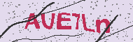 Güvenlik Kodu