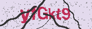 Güvenlik Kodu