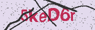 Güvenlik Kodu