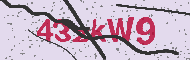 Güvenlik Kodu