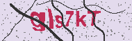 Güvenlik Kodu