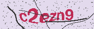 Güvenlik Kodu